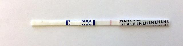 ワンステップ排卵検査薬クリア